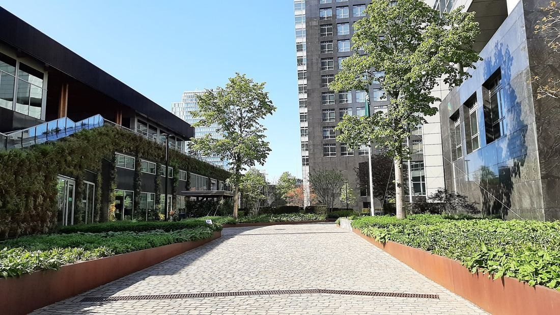 ABN AMRO: Paved walkway between steel-edged planting beds leading past a pavilion