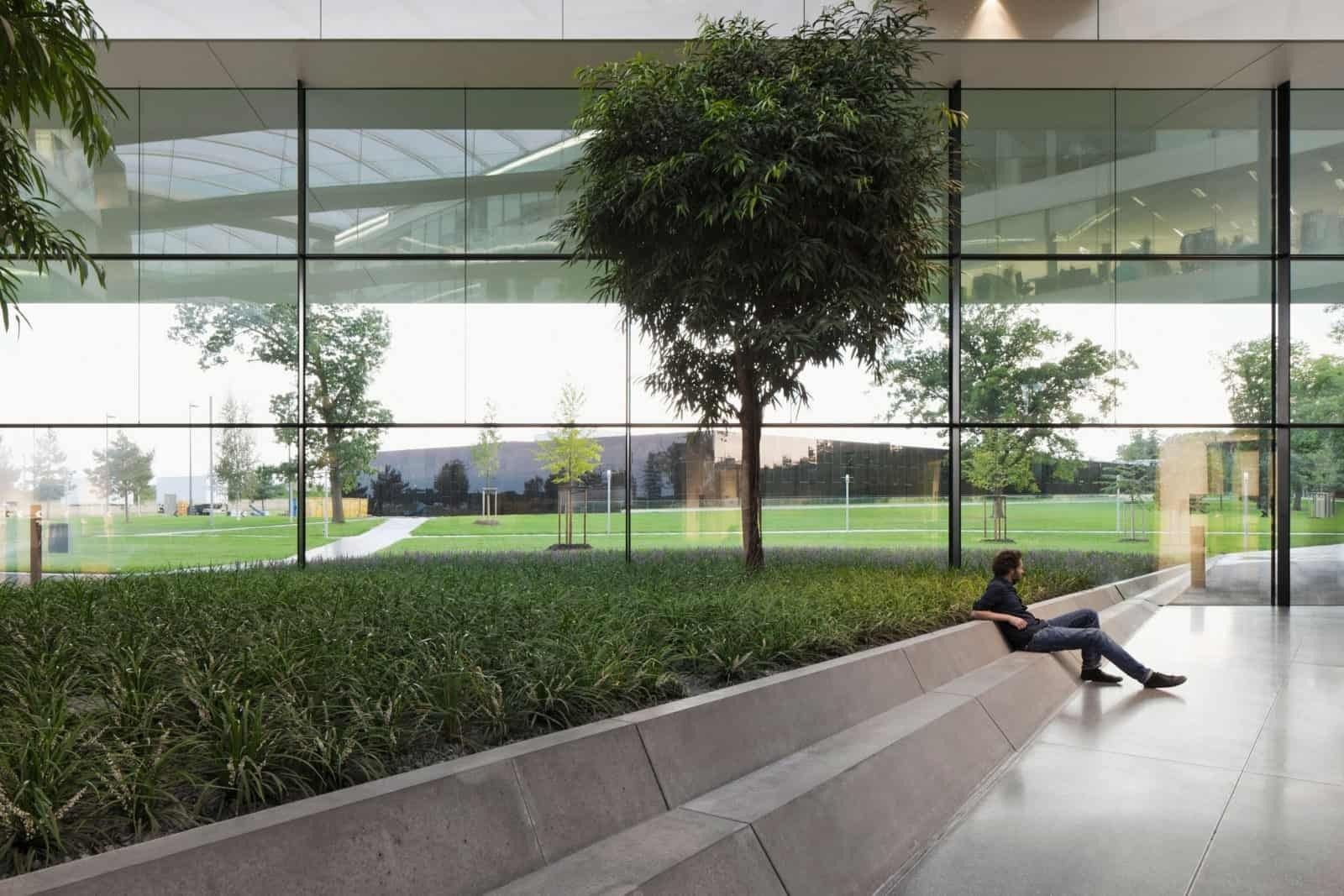 adidas: Garden atrium with trees