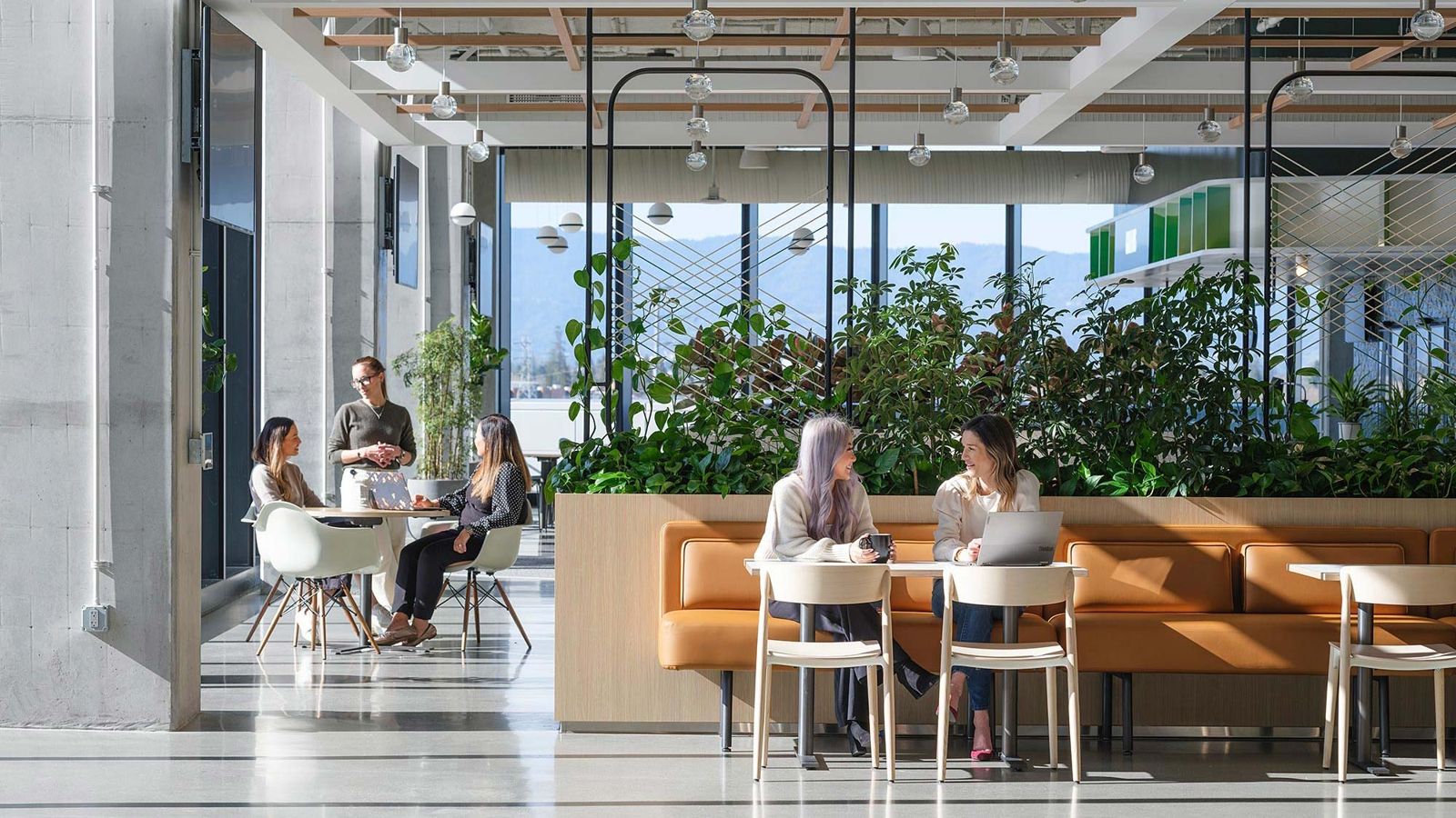 Adobe: A green-walled dining area with booths by the windows