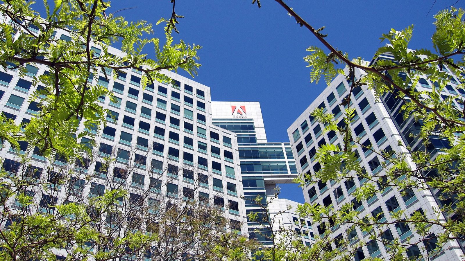 Adobe: Adobe towers through spring leaves