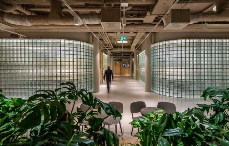 Adyen: Corridor between glass-block walls with plants in the foreground