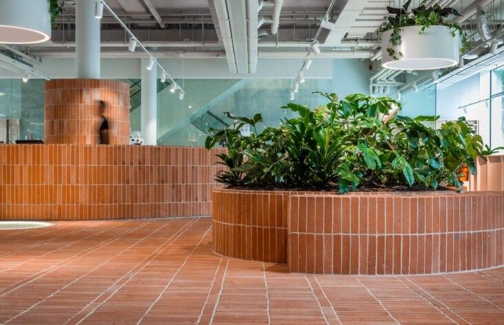 Adyen: Curved brick planters with leafy plants on a tiled floor