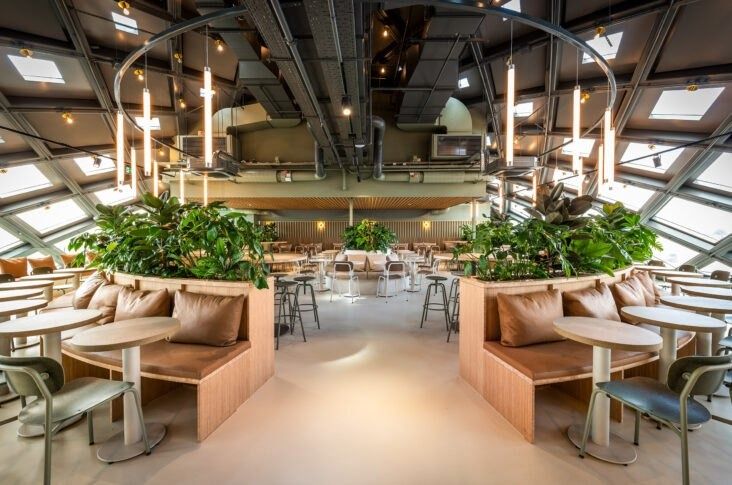 Adyen: Restaurant area with booth seating, planters and hanging pendant lights