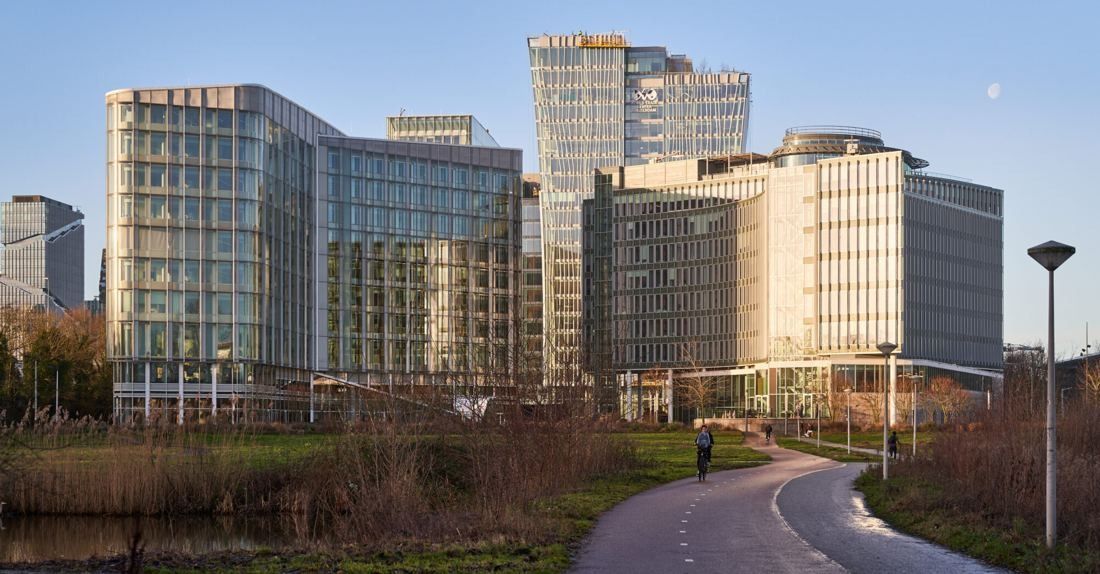 AkzoNobel: Glass office buildings seen across a park path with reeds in the foreground