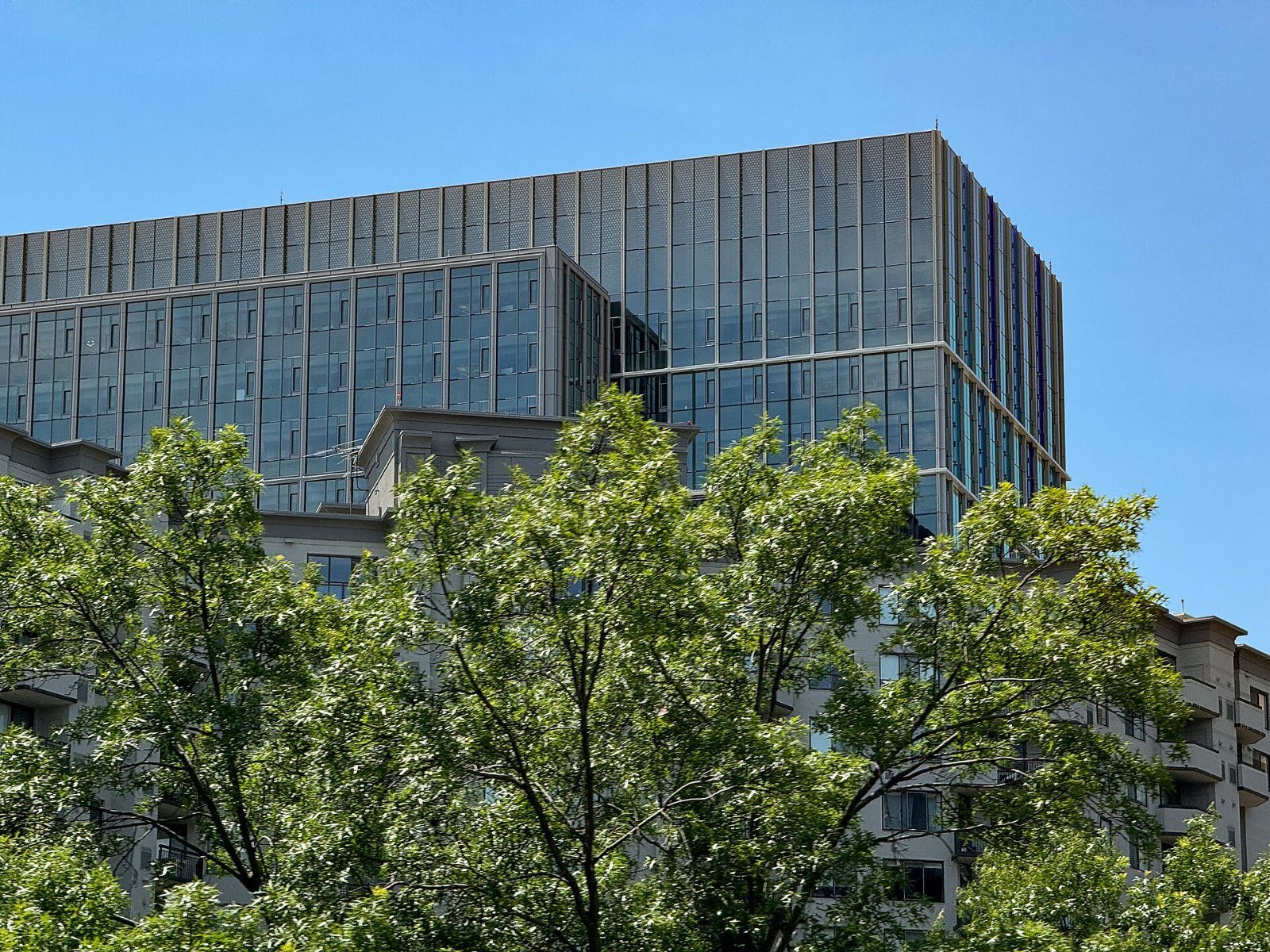 Office building with a metal facade behind trees