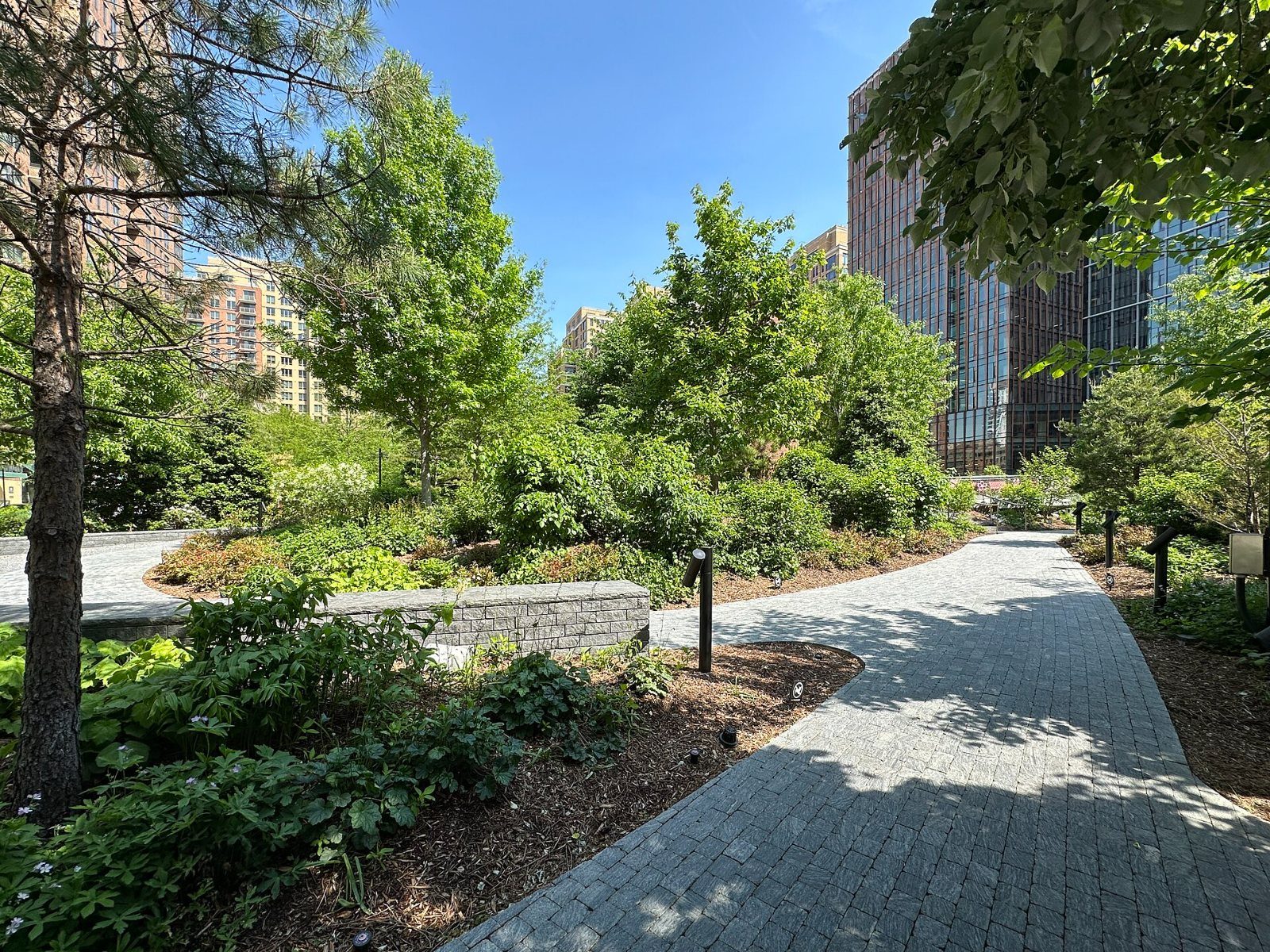 Paved path through young trees and shrubs
