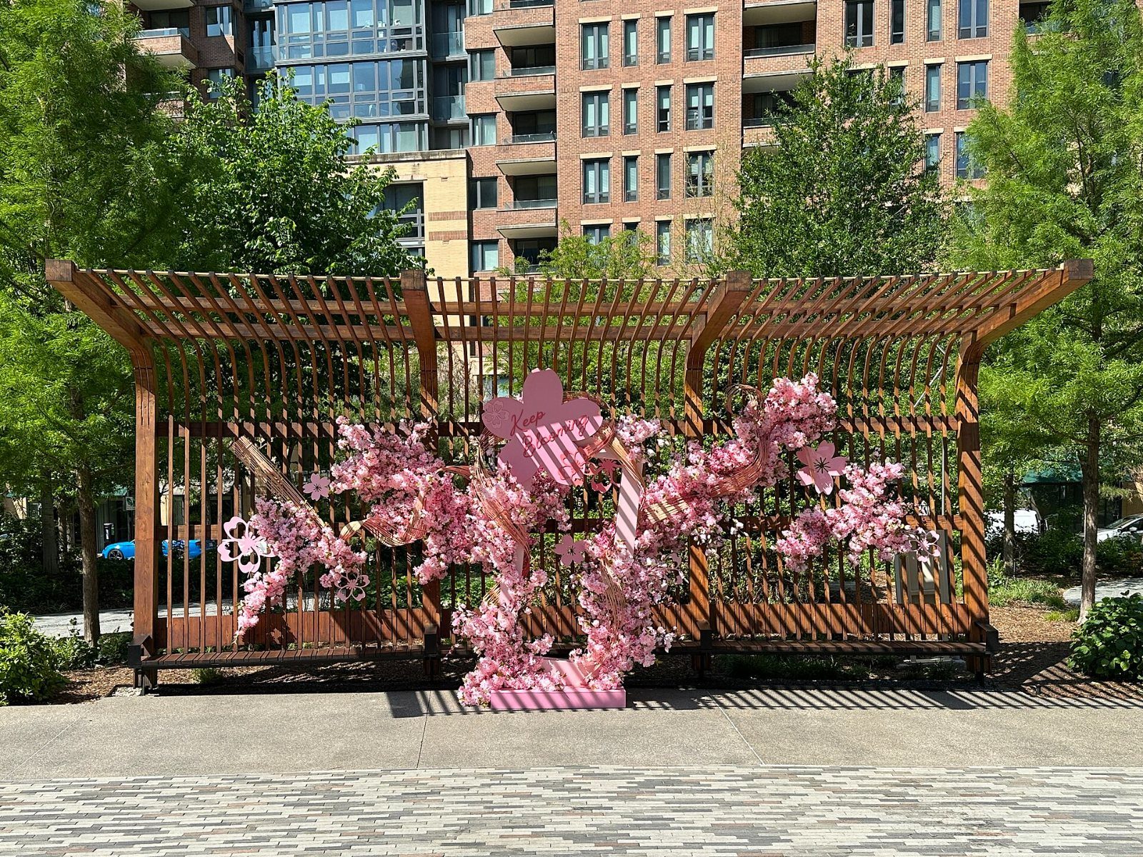 Wooden pergola with pink flowers