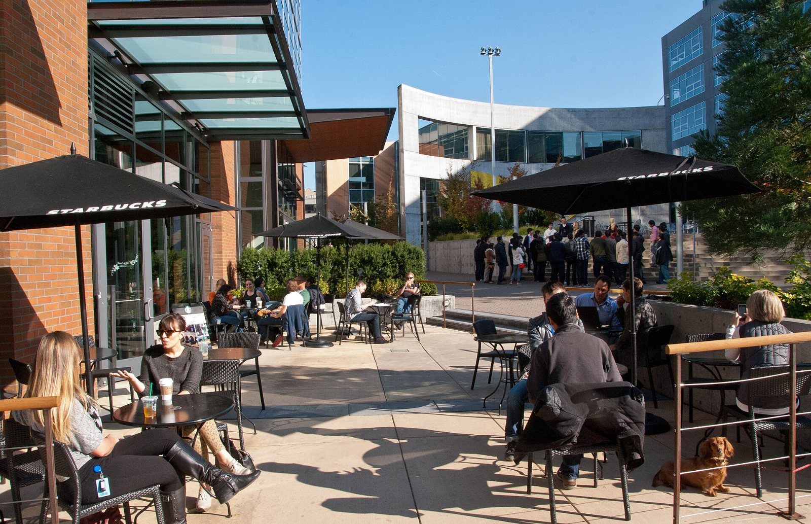 Office buildings with a central courtyard