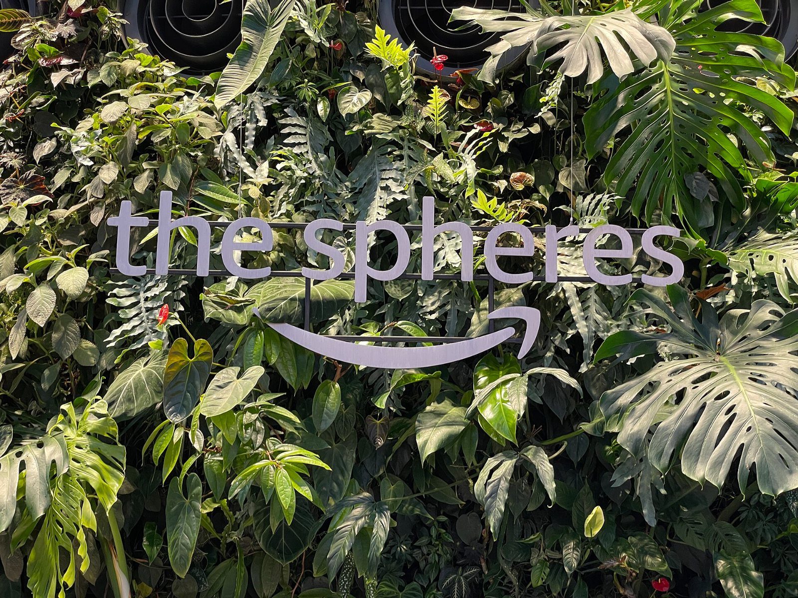 Wall of plants with a sign reading the spheres