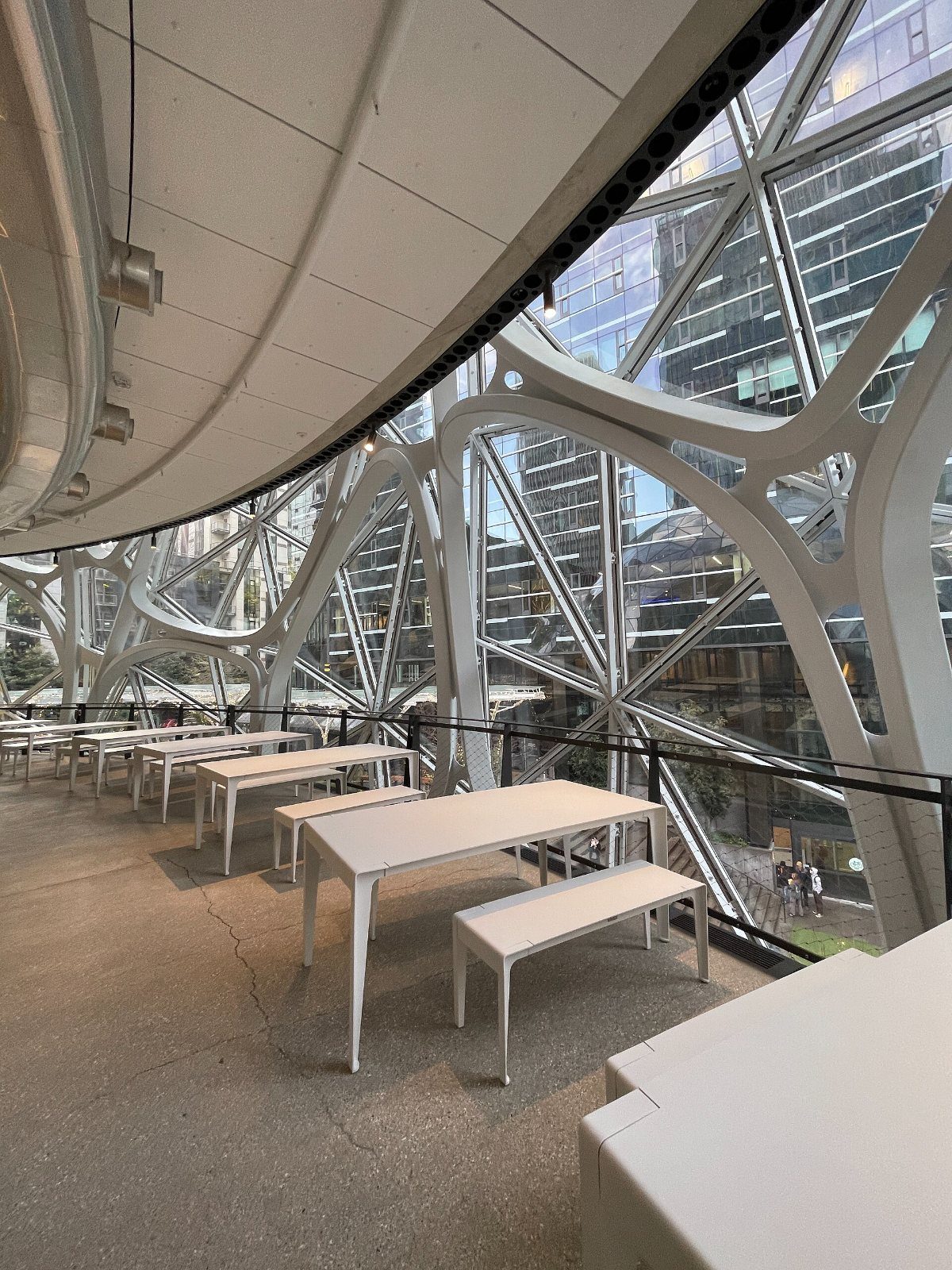Long tables under the curved steel frame