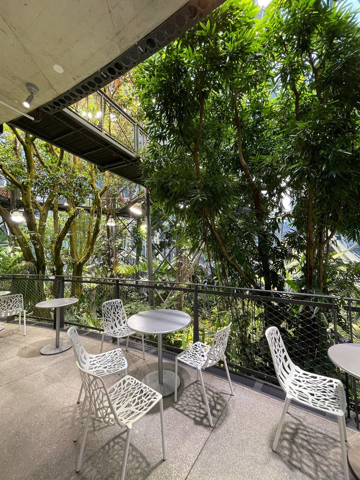 Terrace with chairs among trees