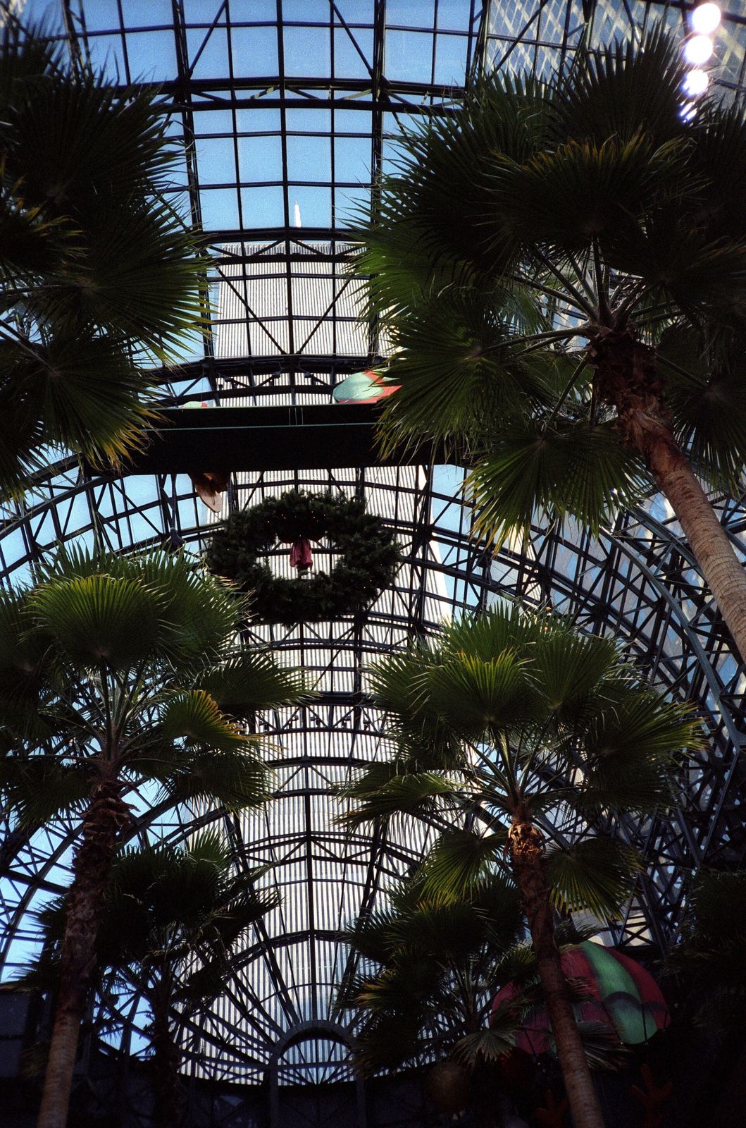Palm trees inside the Winter Garden atrium