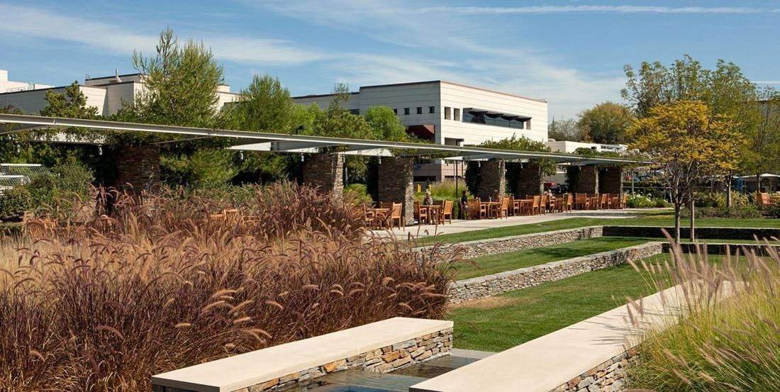 Amgen: Landscaped walkway with ornamental grasses, lawn terraces and a pergola in front of white office buildings