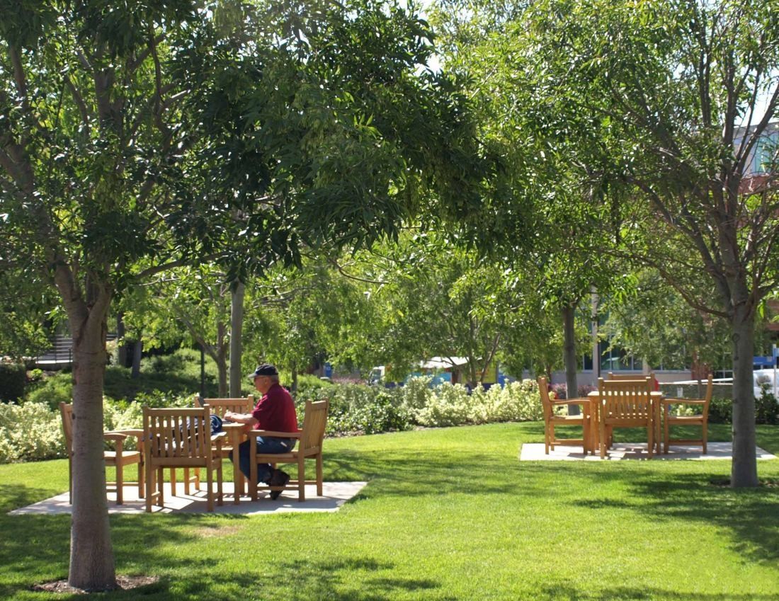 Amgen: Shaded lawn with wooden tables and chairs under trees, one person seated reading