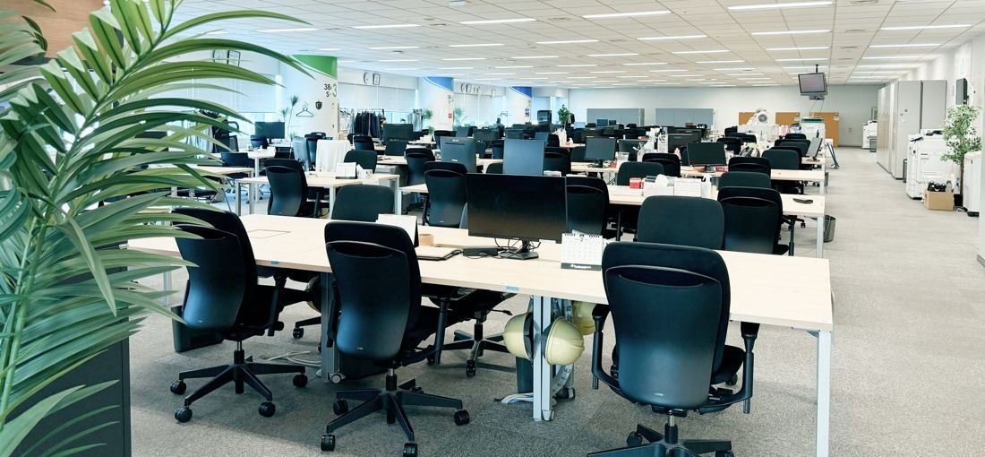 ANA: Open-plan office floor with rows of white desks, black chairs and monitors, a palm frond in the foreground