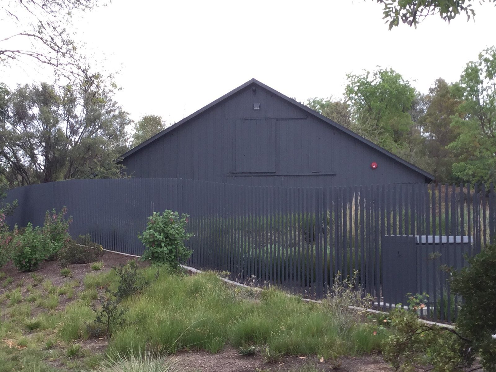 Apple: Dark wooden barn among plants