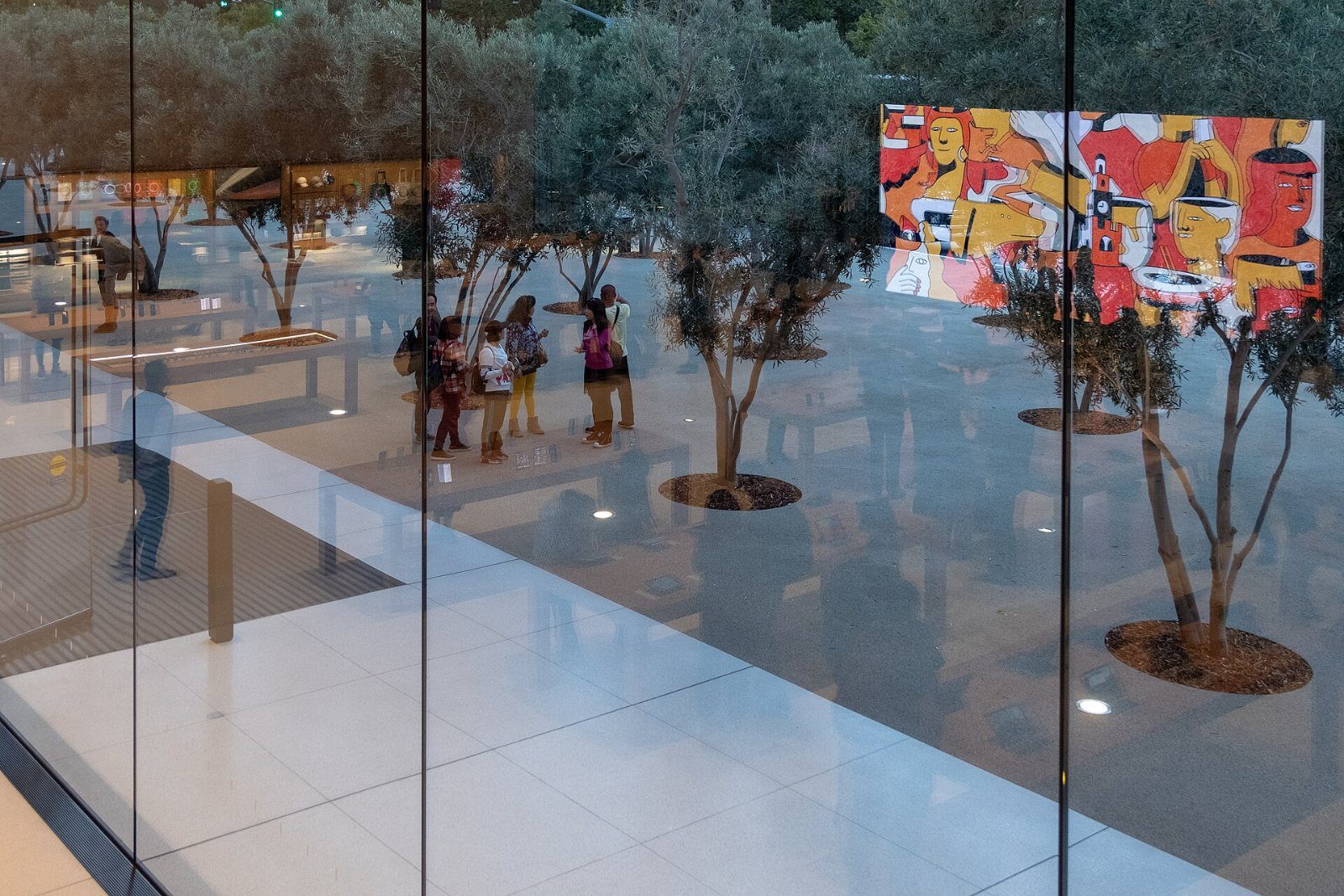 Apple: Glass-walled room with olive trees