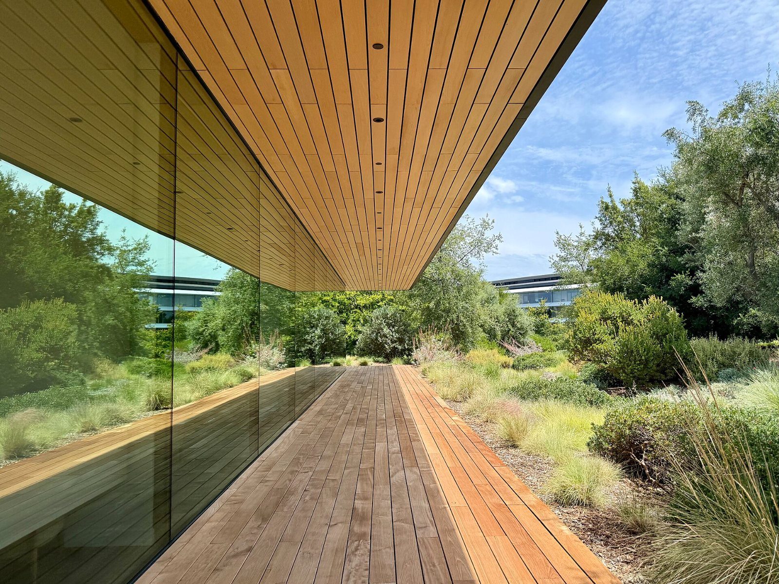 Apple: Wooden walkway under a canopy beside plants