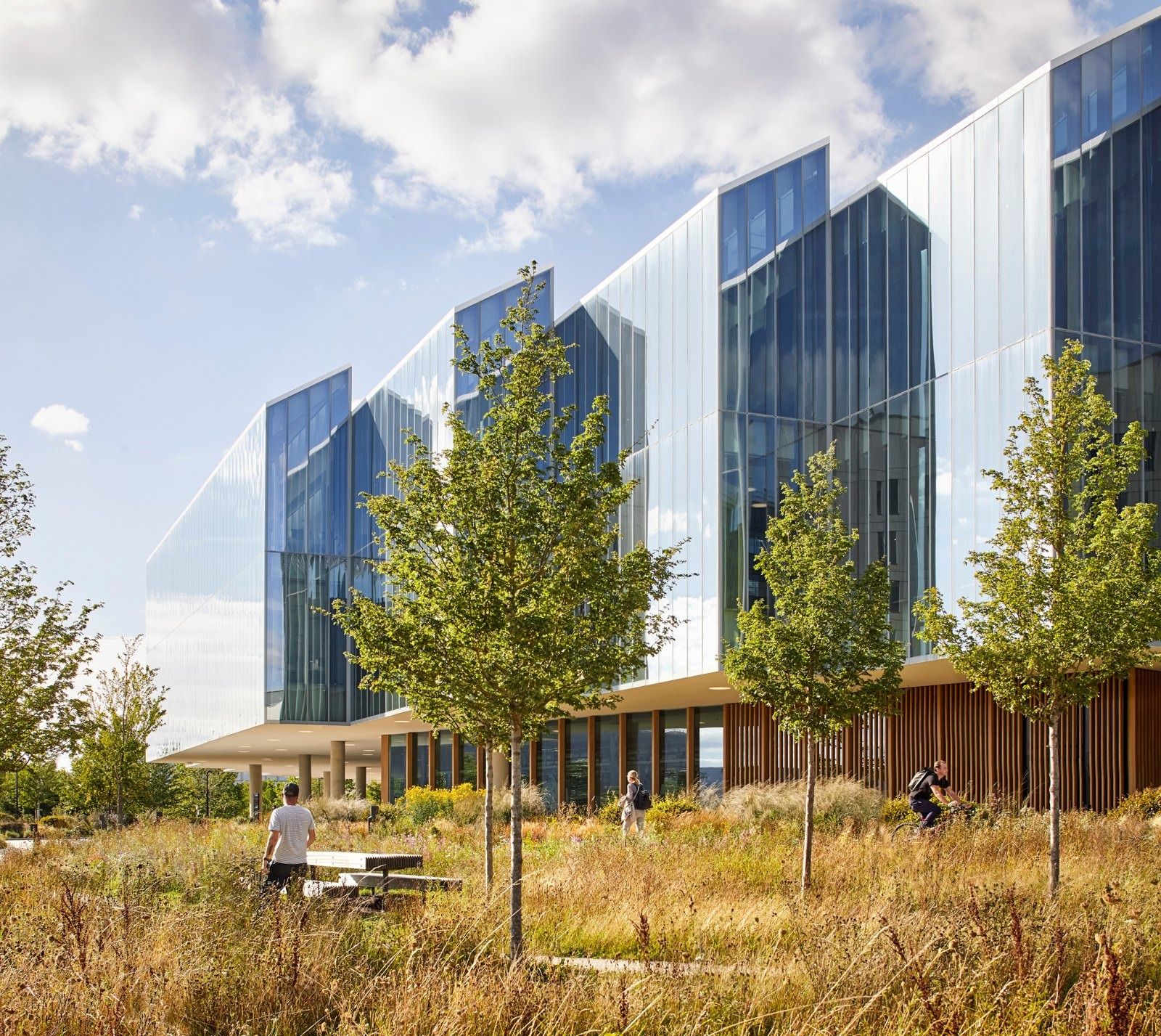 AstraZeneca: Glass façade with a zigzag roof seen across tall grass