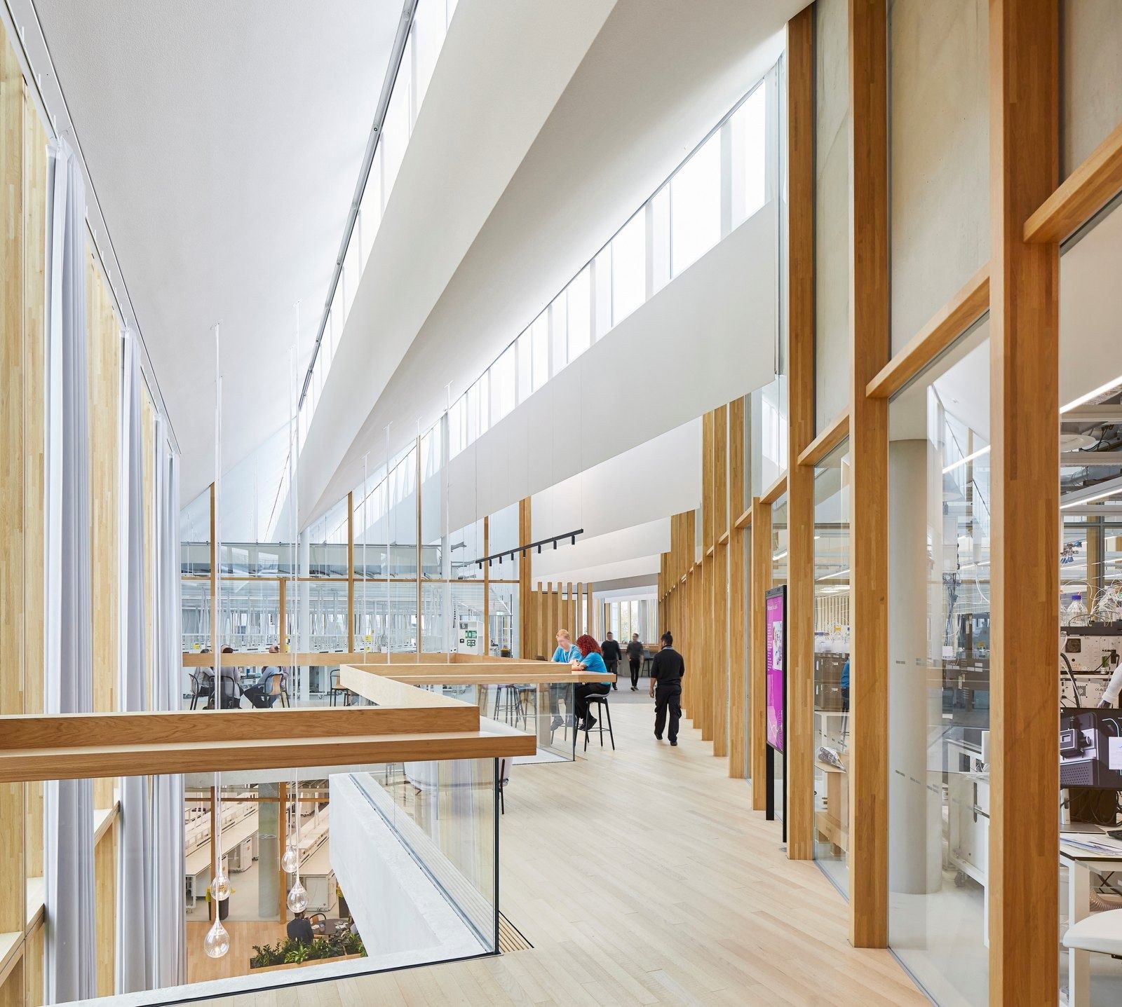 AstraZeneca: Long gallery with timber columns and glass walls