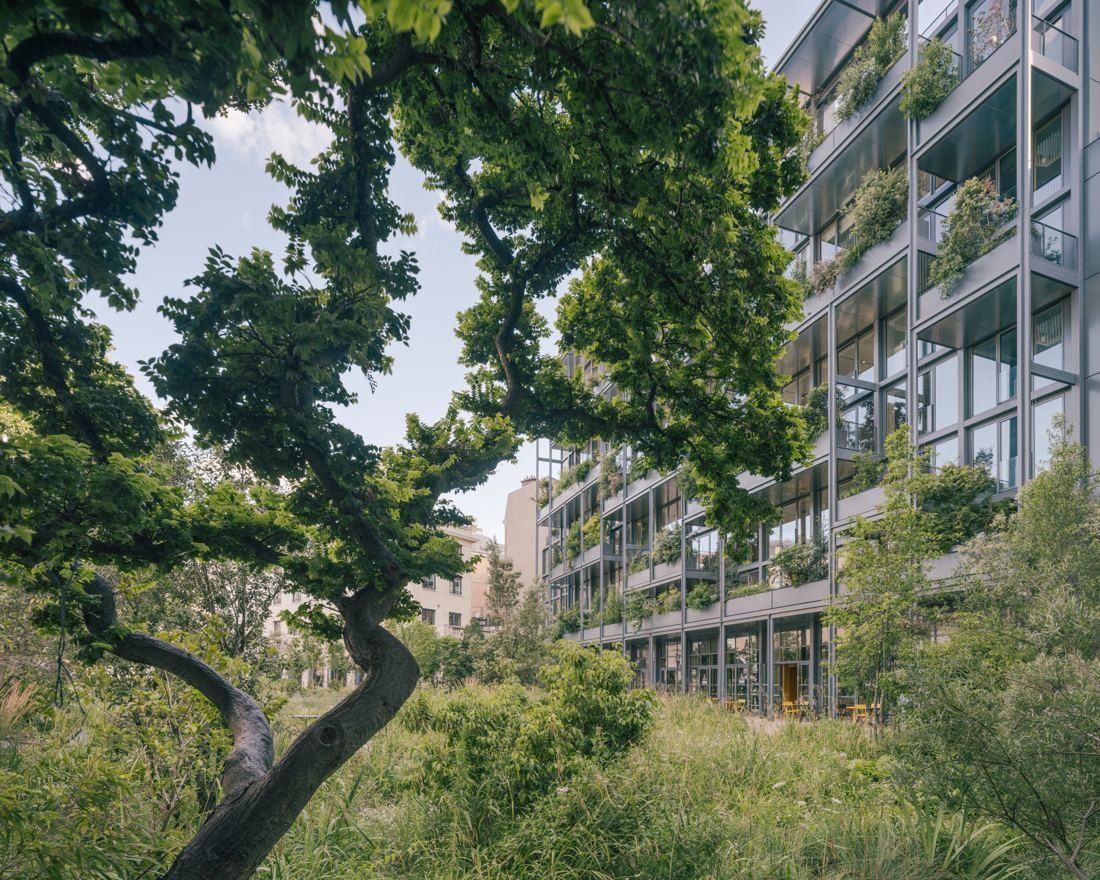 AXA: Twisting tree and tall grasses in front of a planted office façade