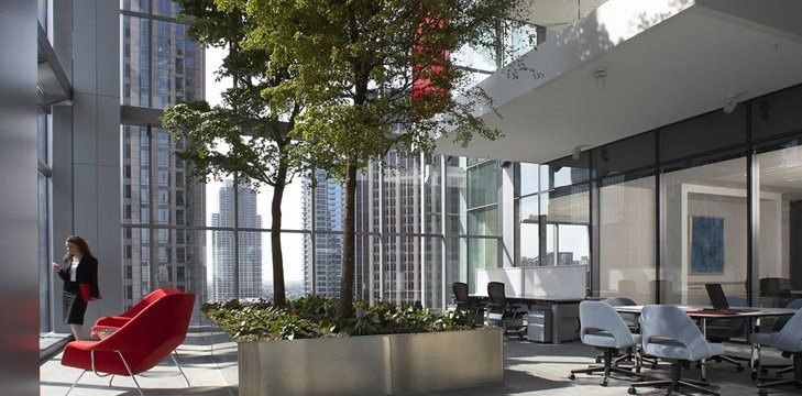 Bank of America: Tree-filled sky garden next to open workspace