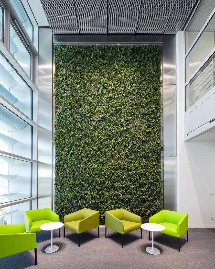Green plant wall with lime-green lounge chairs in front