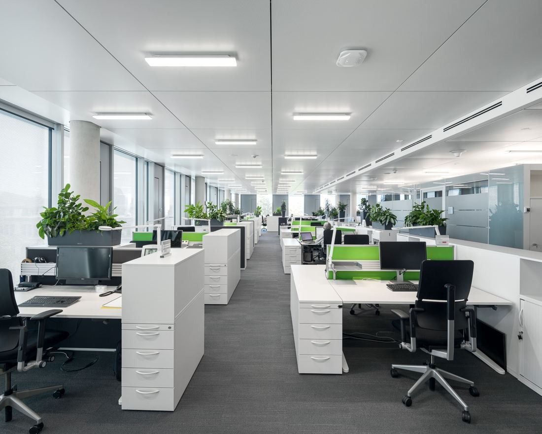 Open-plan office with white desks, black chairs and plants by the windows