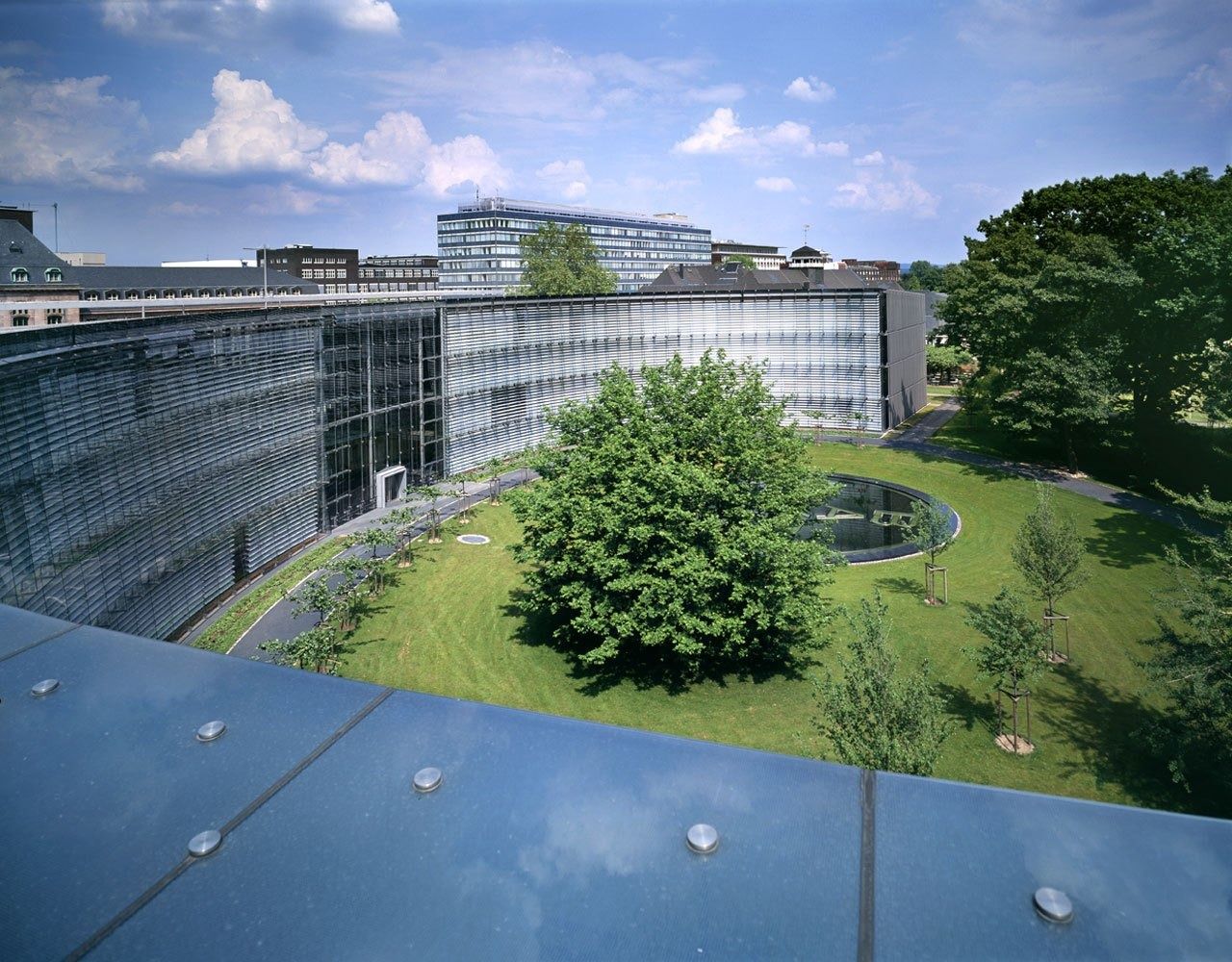 Bayer: Courtyard lawn with a tree inside the curved building