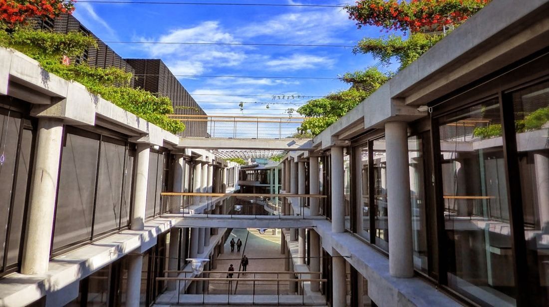 BBVA: Long lane between office buildings with plants hanging from the upper levels