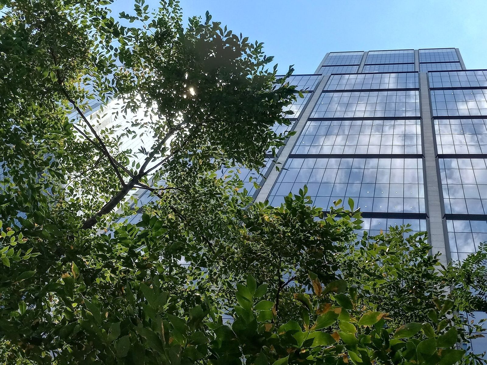 BlackRock: The tower above the neighbouring buildings