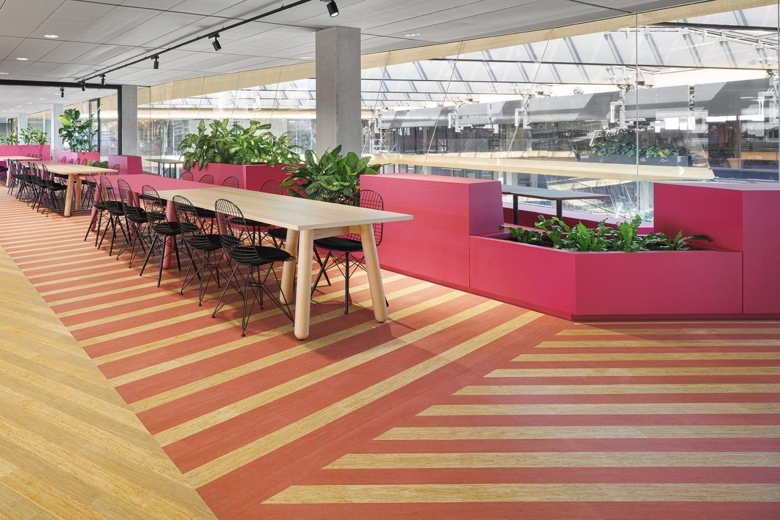 Booking Holdings: Restaurant with long tables, pink planters and striped timber floor