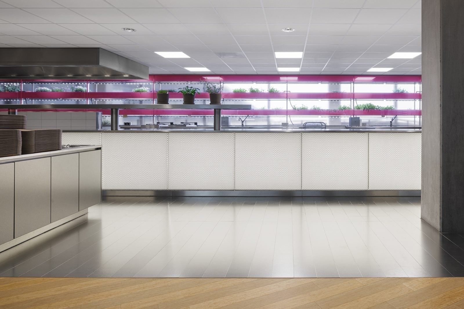 Booking Holdings: White kitchen counters below pink herb shelves