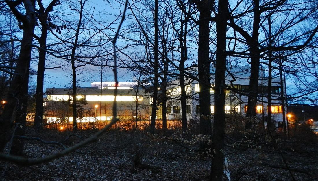 Bosch: Lit office buildings seen at dusk through bare forest trees