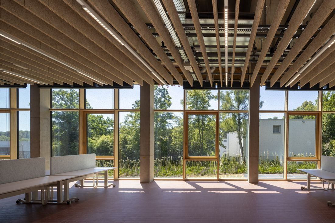 Bosch: Room with wooden ceiling slats, timber window frames and a view of trees