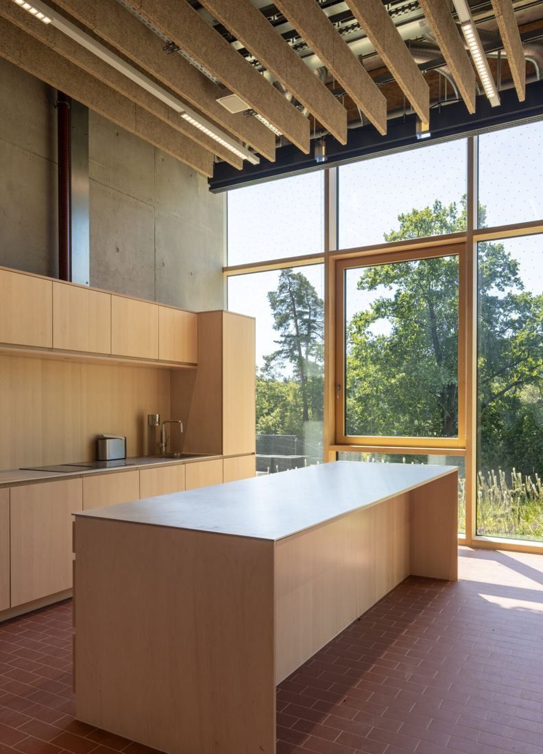 Bosch: Timber kitchen counter and cabinets beside a tall window facing trees