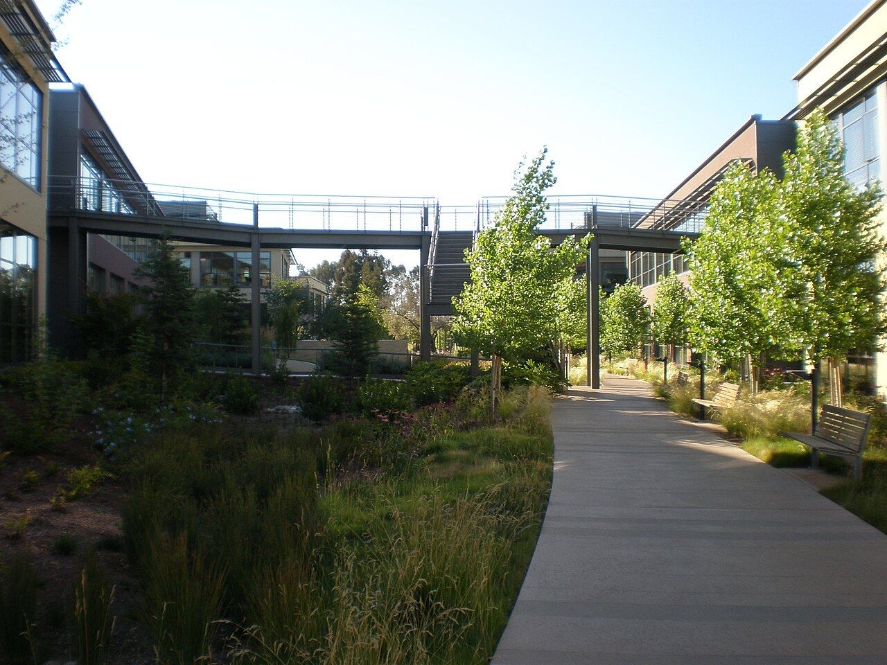 A walkway through planted courtyards