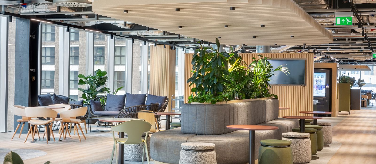 BT Group: Café seating with planters and pendant lamps