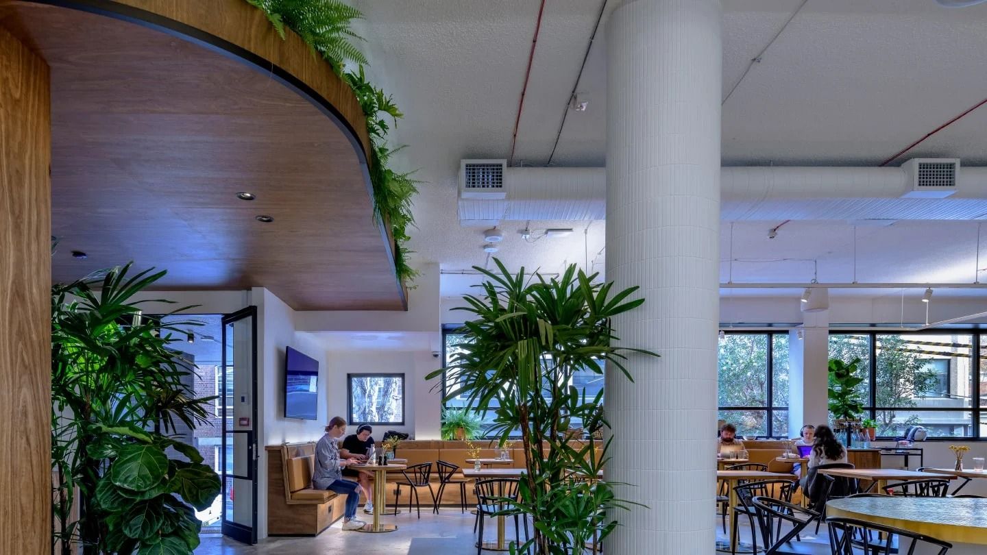 Canva: Open floor with plants, timber ceiling and dining tables