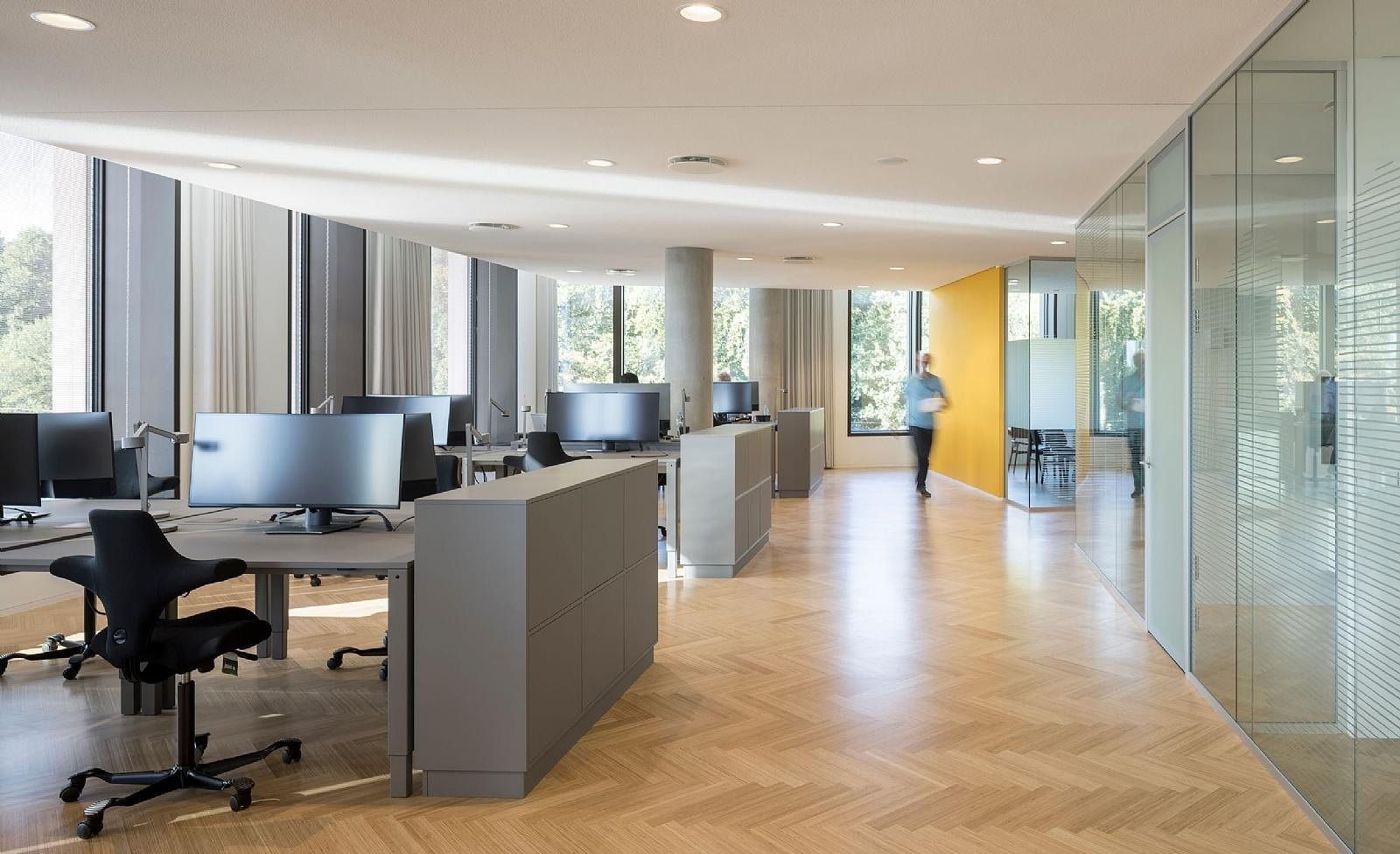 Carlsberg: Desks with monitors by tall windows, herringbone floor and glass meeting rooms
