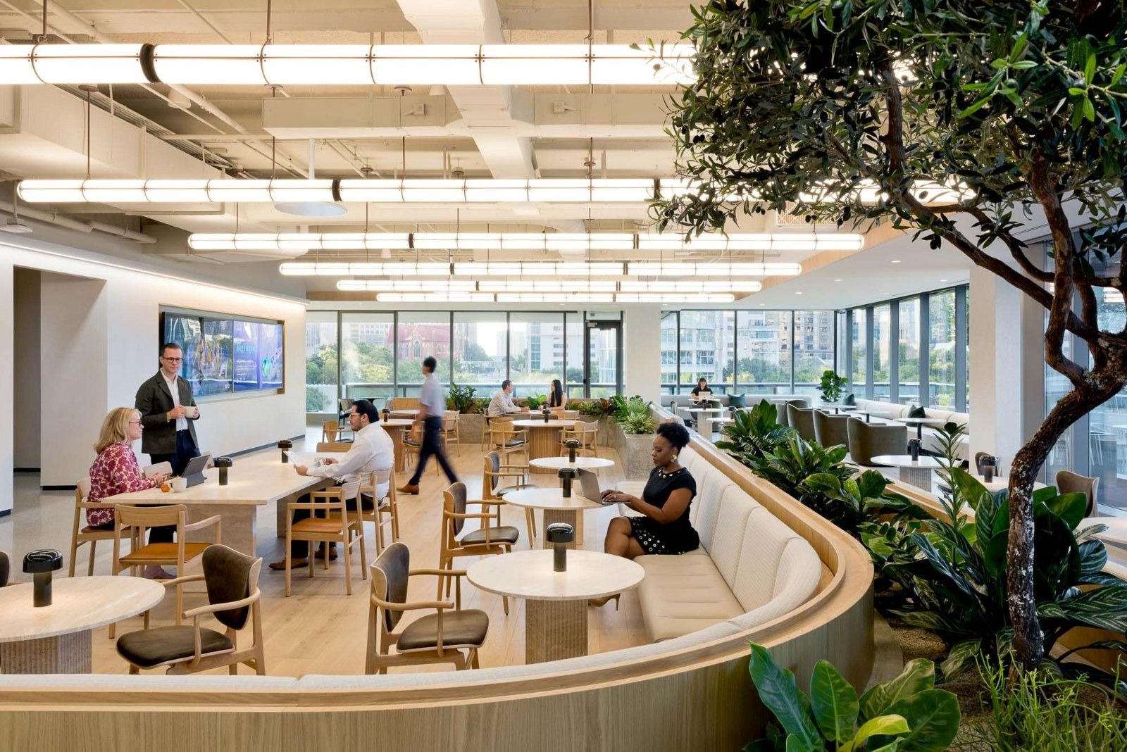 CBRE: A long curved banquette with café tables beside a tree and tall windows