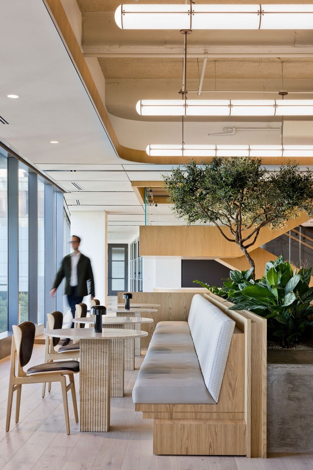 CBRE: Booths and tables under a tree beside a window