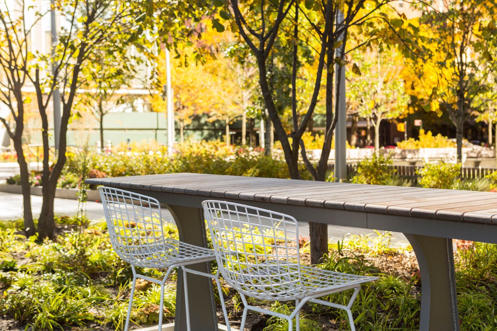 Citigroup: Wire chairs at a long outdoor table under trees