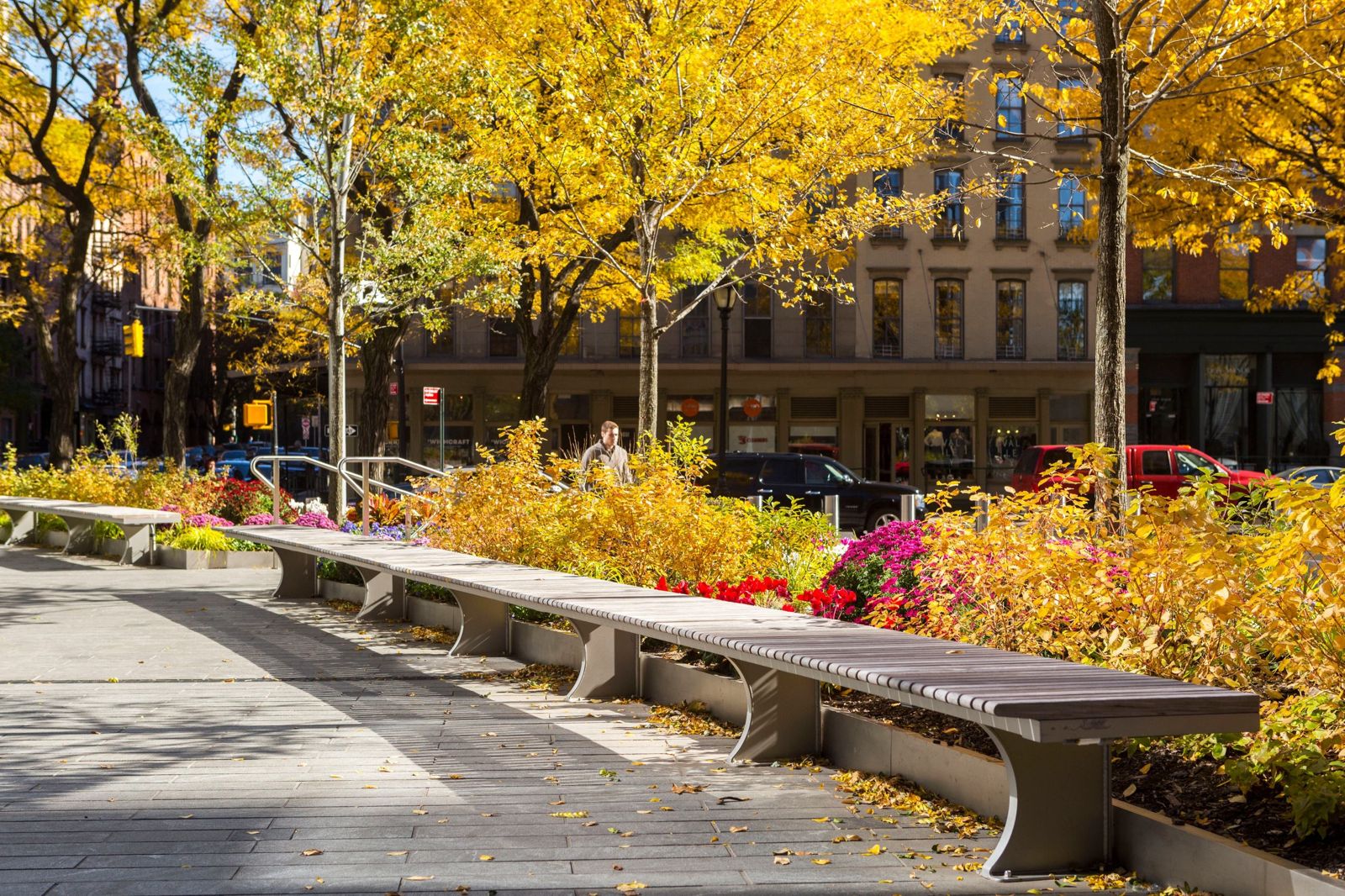 Citigroup: Wooden bench beside autumn planting