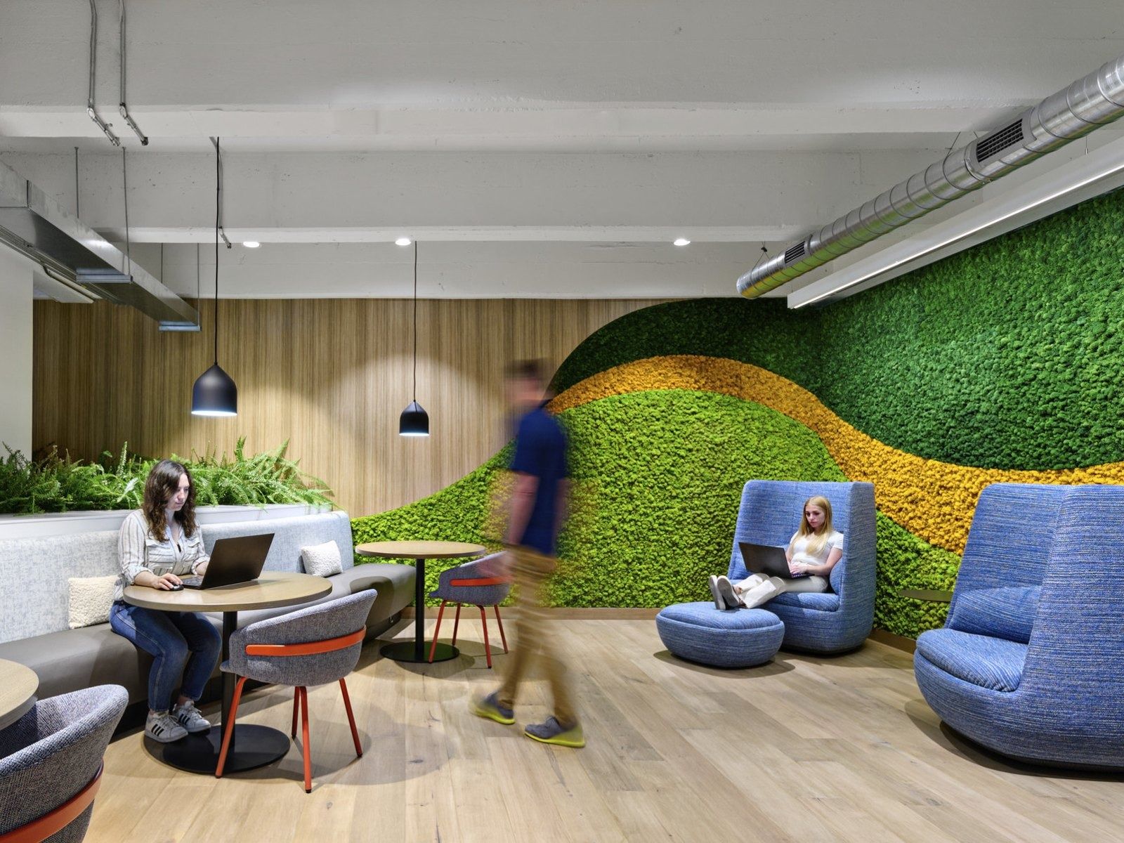Cloudflare: Armchairs beside a moss wall