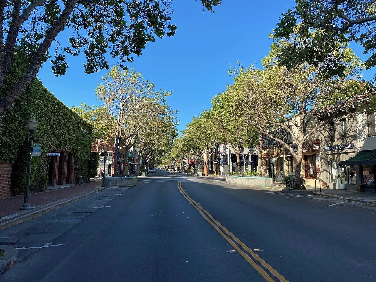 Tree-lined University Avenue in downtown Palo Alto