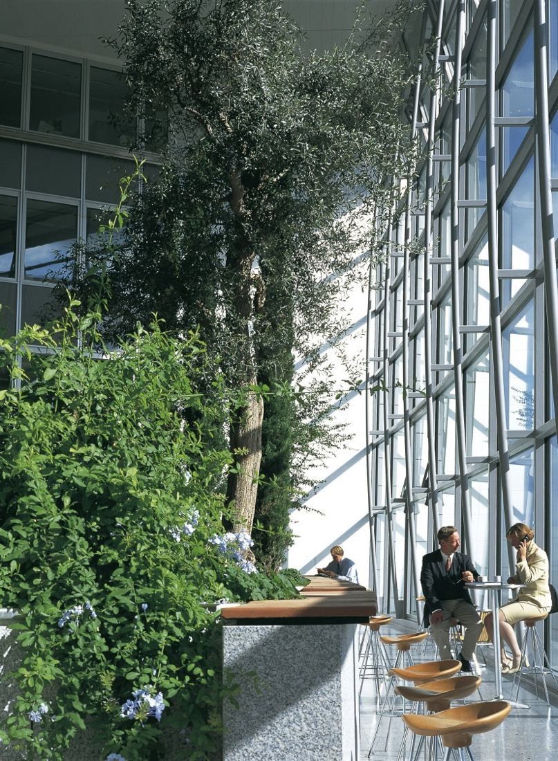 Commerzbank: Indoor garden with an olive tree and flowering plants beside a tall glass wall, with bar stools and small tables