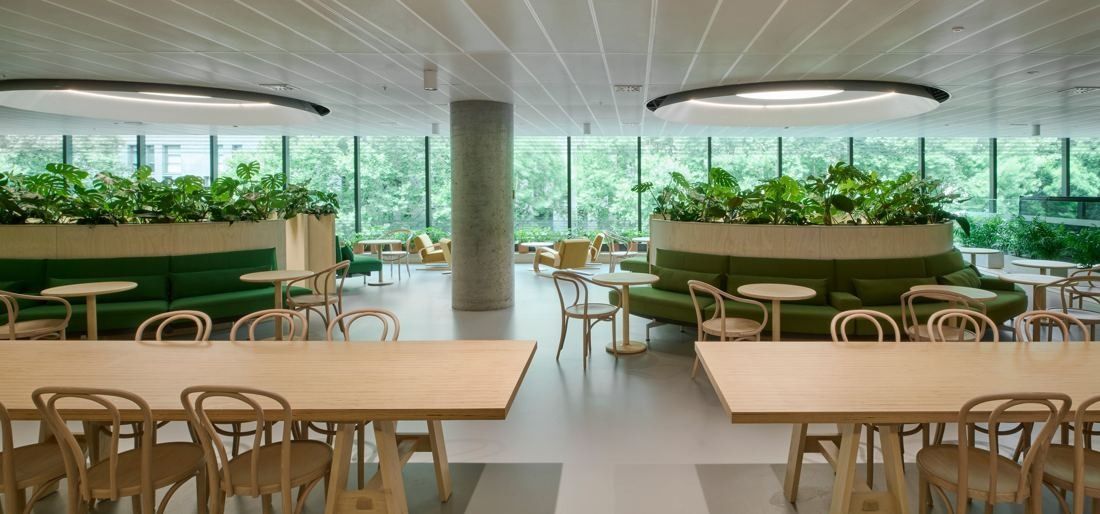 Commonwealth Bank of Australia: Bright dining space with timber tables, bentwood chairs and planters along a glazed wall