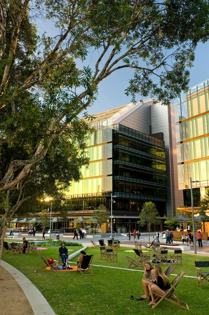 Commonwealth Bank of Australia: Lawn with deck chairs under trees, layered glass office building lit by low sun
