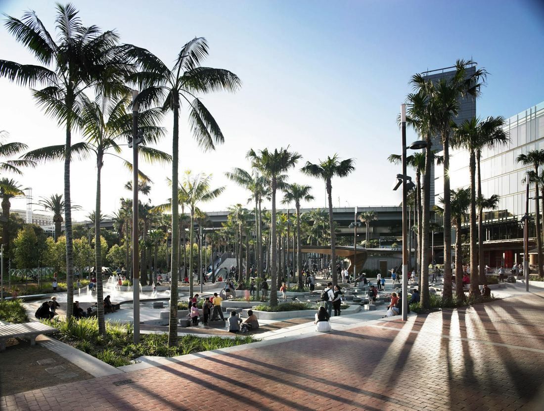 Commonwealth Bank of Australia: Paved square planted with tall palm trees casting long shadows, office building in the background